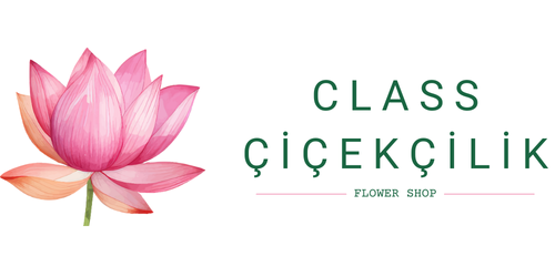 Class Çiçekçilik | Online Çiçek Mağazası